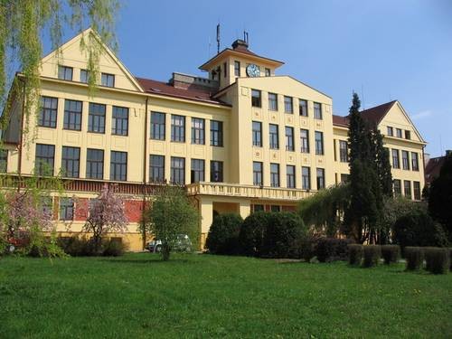 škola
